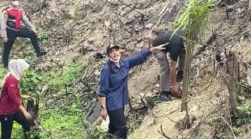 Bupati Dharmasraya dan Kapolres Temukan Tanaman Sawit di Kawasan Hutan Bekas Karhutla